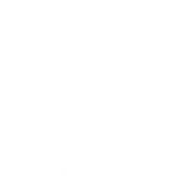 Karikaturist: als Schnellzeichner für Event und Hochzeit!